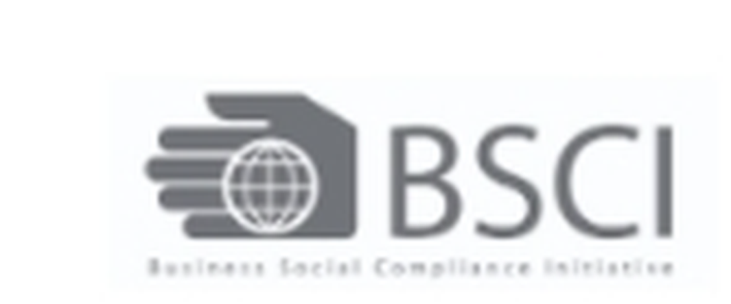 BSCI Business Social Compliance Initiative